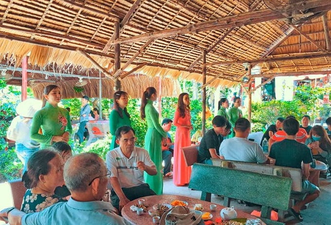 Tour tham quan 4 cồn: Long - Lân - Quy - Phụng (Tiền Giang - Bến Tre) 7 Nghe và giao lưu đờn ca tài tử Nam Bộ tại Cồn Thới Sơn