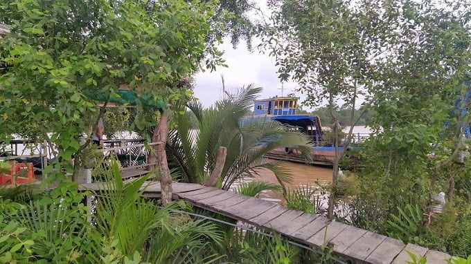 Bến phà đưa rước khách du lịch Cồn Chim