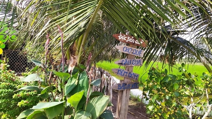 Khám phá Cồn Chim với các hoạt động hấp dẫn