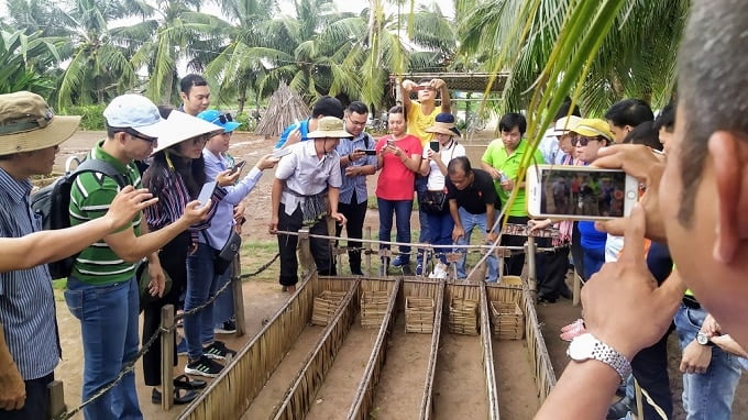 Xem đua cua độc đáo ở Cồn Chim