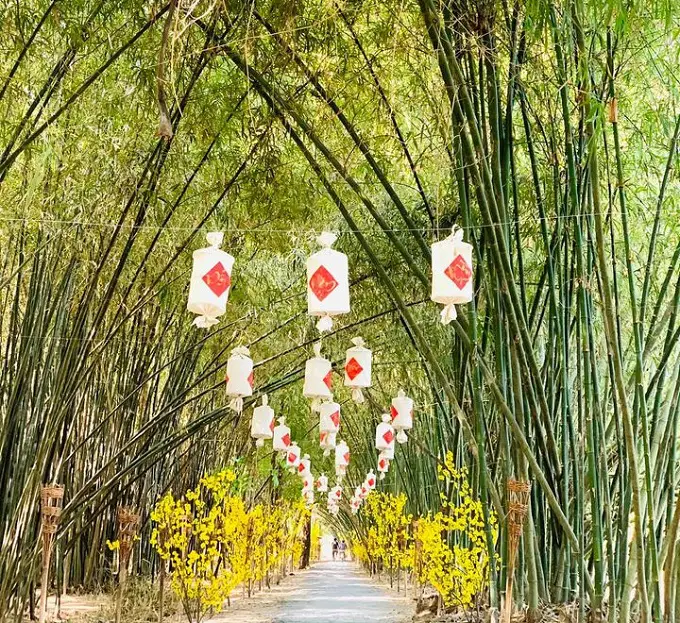 Con đường tre xanh mướt dài vô tận tại Bamboo Garden