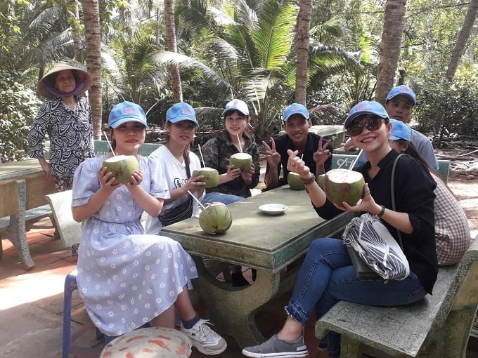 Thưởng thức dừa dứa tại vườn