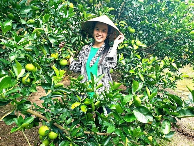 Vườn trái cây Cần Thơ - Top những điểm đến hấp dẫn, an toàn trong mùa dịch 3 Vườn trái cây tại Cồn Sơn, Bình Thủy, Cần Thơ