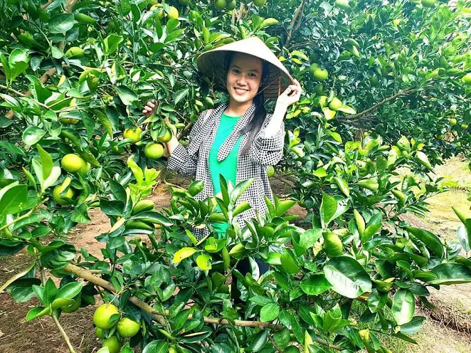 Vườn trái cây tại Cồn Sơn, Bình Thủy, Cần Thơ