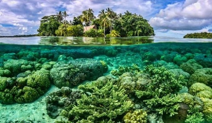 Khám phá Đảo san hô Coral Island - Thái Lan
