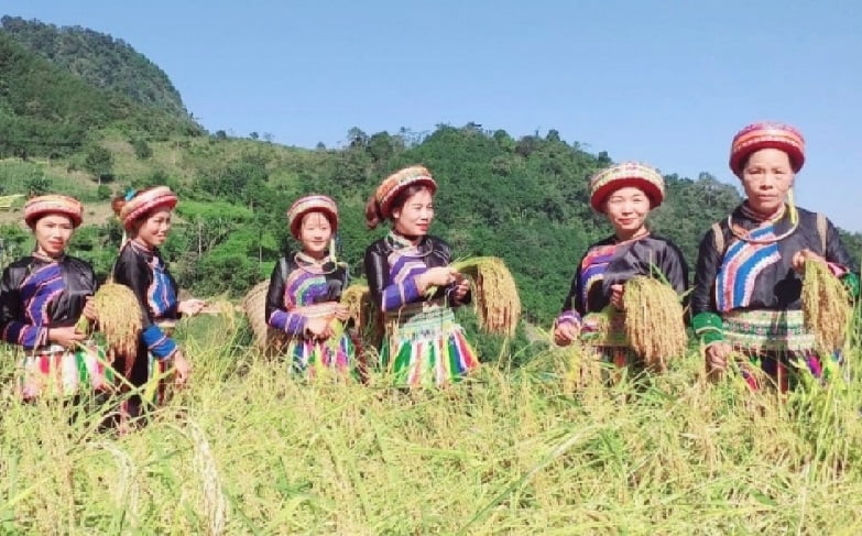 Sắc thu hồ Ba Bể năm 2023 sẽ diễn ra từ ngày 20 - 22/10 3 Sự kiện “Sắc thu hồ Ba Bể” năm 2023 với nhiều hoạt động đặc sắc