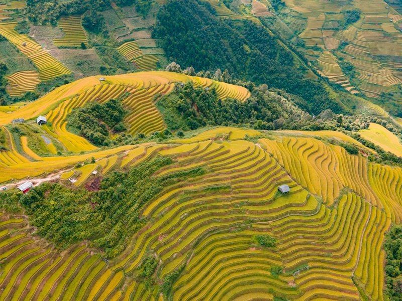 Du lịch ruộng bậc thang - Sản phẩm đặc thù của vùng Tây Bắc 3 Được ví như vân tay của trời, ruộng bậc thang Mù Cang Chải là một công trình kiến trúc nghệ thuật mang đầy tính sáng tạo từ đôi bàn tay khéo léo của đồng bào Mông sinh sống trên mảnh đất này