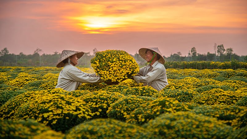 Festival Hoa - Kiểng Sa Đéc lần thứ I năm 2023 2 Festival Hoa - Kiểng Sa Đéc cũng góp phần xúc tiến thương mại, du lịch và đầu tư. Đặc biệt là tuyên truyền, quảng bá hình ảnh tỉnh Đồng Tháp – Đất Sen hồng đến với du khách trong và ngoài nước